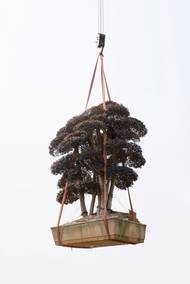 Kechun Zhang (Čína): Nebeská zahrada. Finalista v kategorii Zátiší. Ukázka ze série snímků.