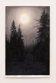 Rinus van de Velde: Robert, Robert, ..., Robert!, 2019, barevná tužka na papíru, 31,3 x 20 cm.