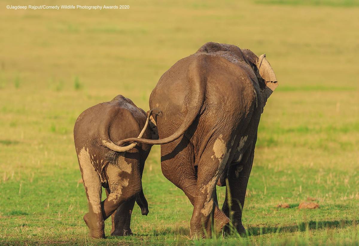 Jagdeep Rajaput: Matka a dcera