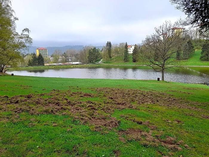 Dobrý den, děkujeme za upozornění, situace se průběžně řeší.