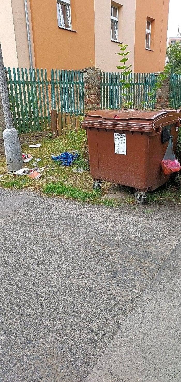 Dobrý den, 
děkujeme za upozornění. Podnět předáváme Středisku městských služeb, aby zajistilo úklid. 
MM Děčín