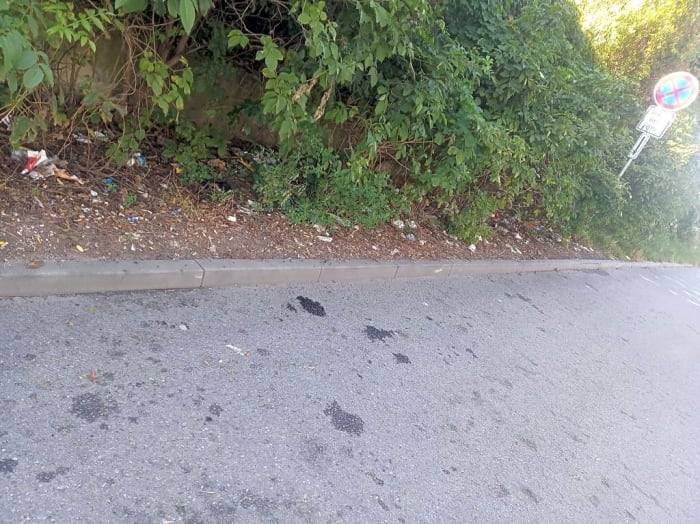 Podnět jsme předali SŽDC, správci pozemku.