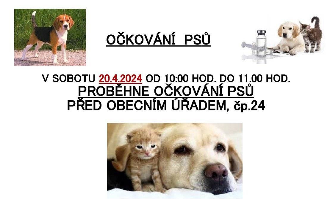 Očkování psů bude probíhat v sobotu 20.4.2024 od 10:00 do 11:00 hodin před OÚ č.p. 24