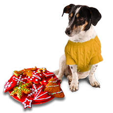 Boží hod vánoční aneb den narození Páně