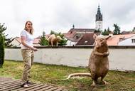 Sochy od Kryštofa Hoška v Litoměřicích.