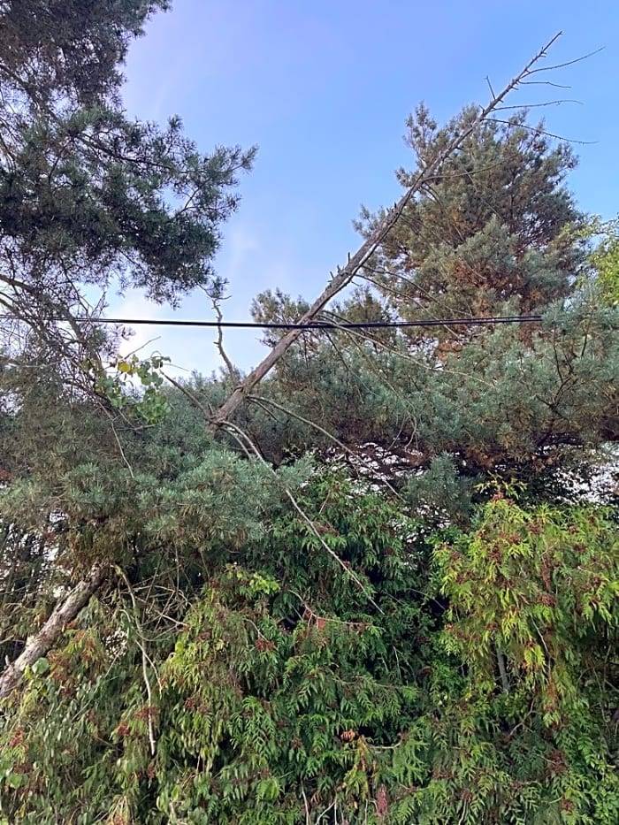 Zajistilo oddělení technických služeb obce.