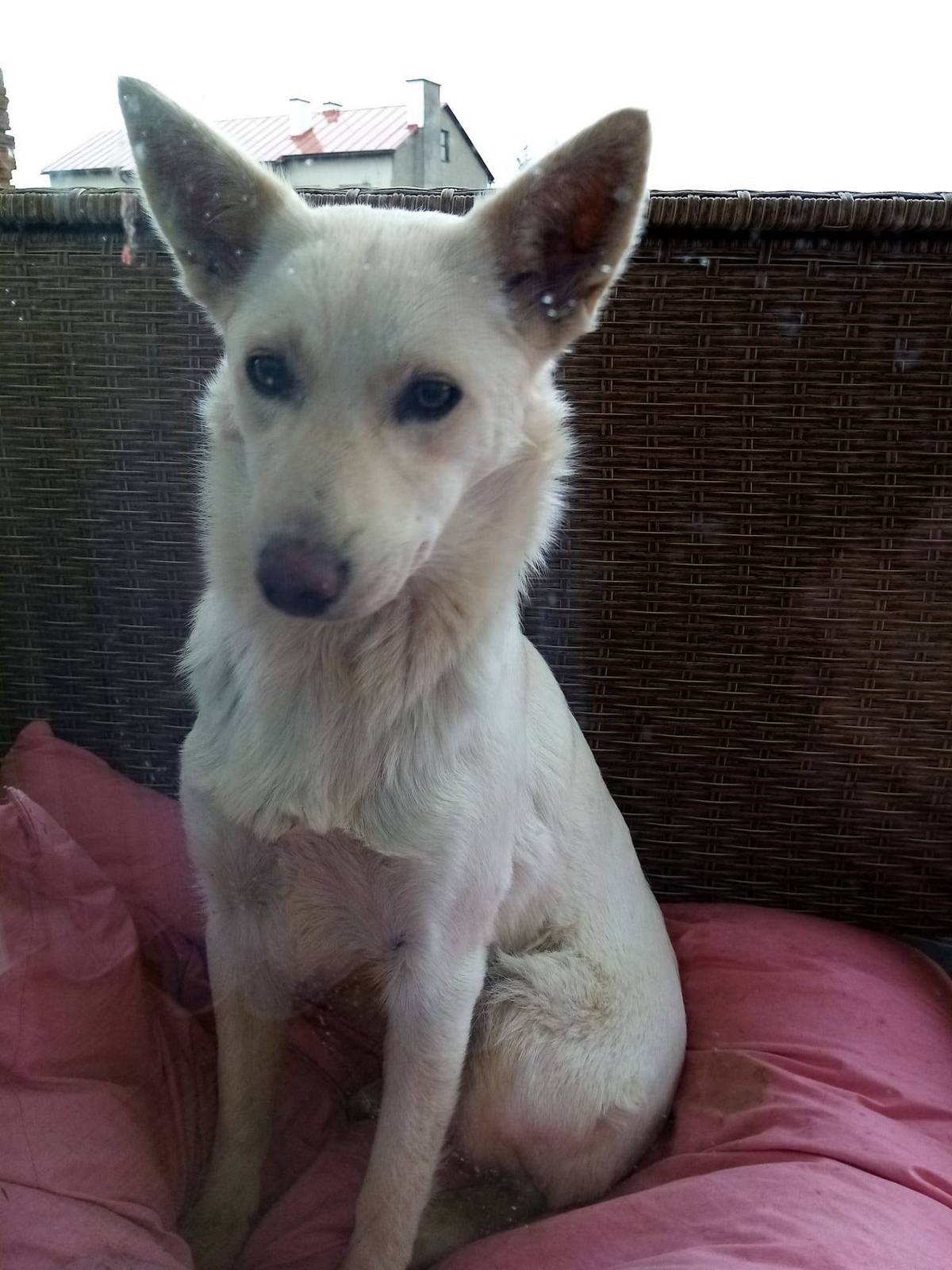 kslslslslslslslslslslslslslslslslsls.slslslslslsl.