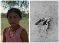 Marisol Mendezová a Federico Kaplan (Bolívie, Argentina): Miruku. Soubor se zaměřuje na příslušníky kmene Wayuu z kolumbijské pouště La Guajira. Finalisté v kategorii Životní prostředí. Ukázka ze série snímků.