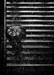 Marek Trizuljak, finalista soutěže