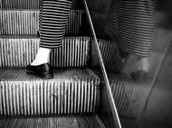 Standa Kotas, finalista soutěže