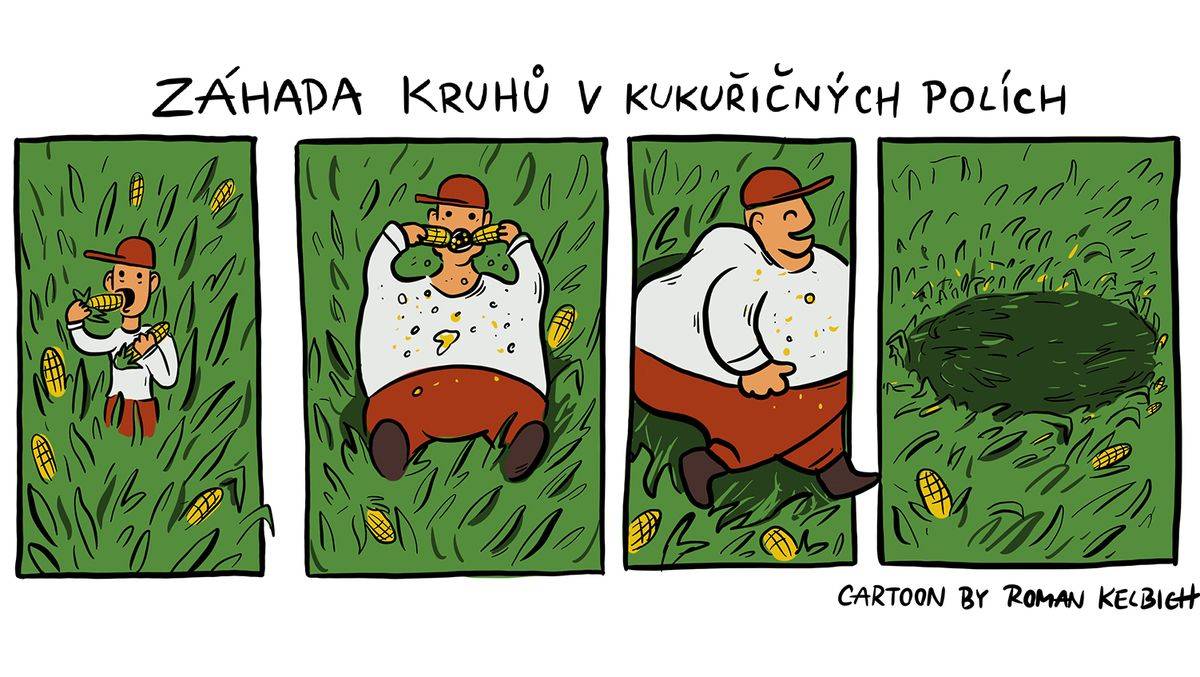 Kruh v kukuřičném poli