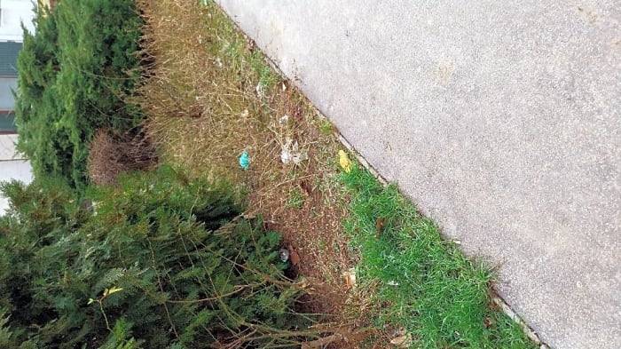 Dakujeme za Váš podnet a postreh, príslušnú lokalitu dočisťujeme pravidelne podľa harmonogramu. Táto lokalita sa bude dočisťovať tento týždeň.