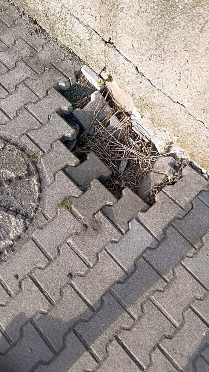 Prověříme a  zajistíme opravu v termínu do 31.08.2023.