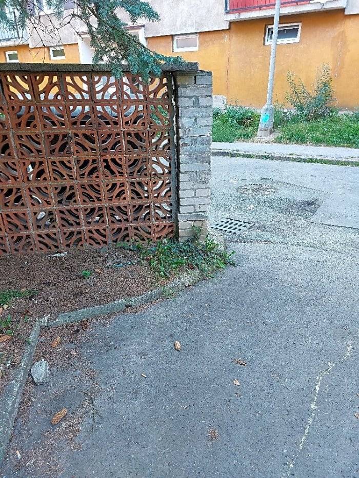 Děkujeme za podnět. Odstranění zdi zajistí Středisko městských služeb Děčín. 
MM Děčín