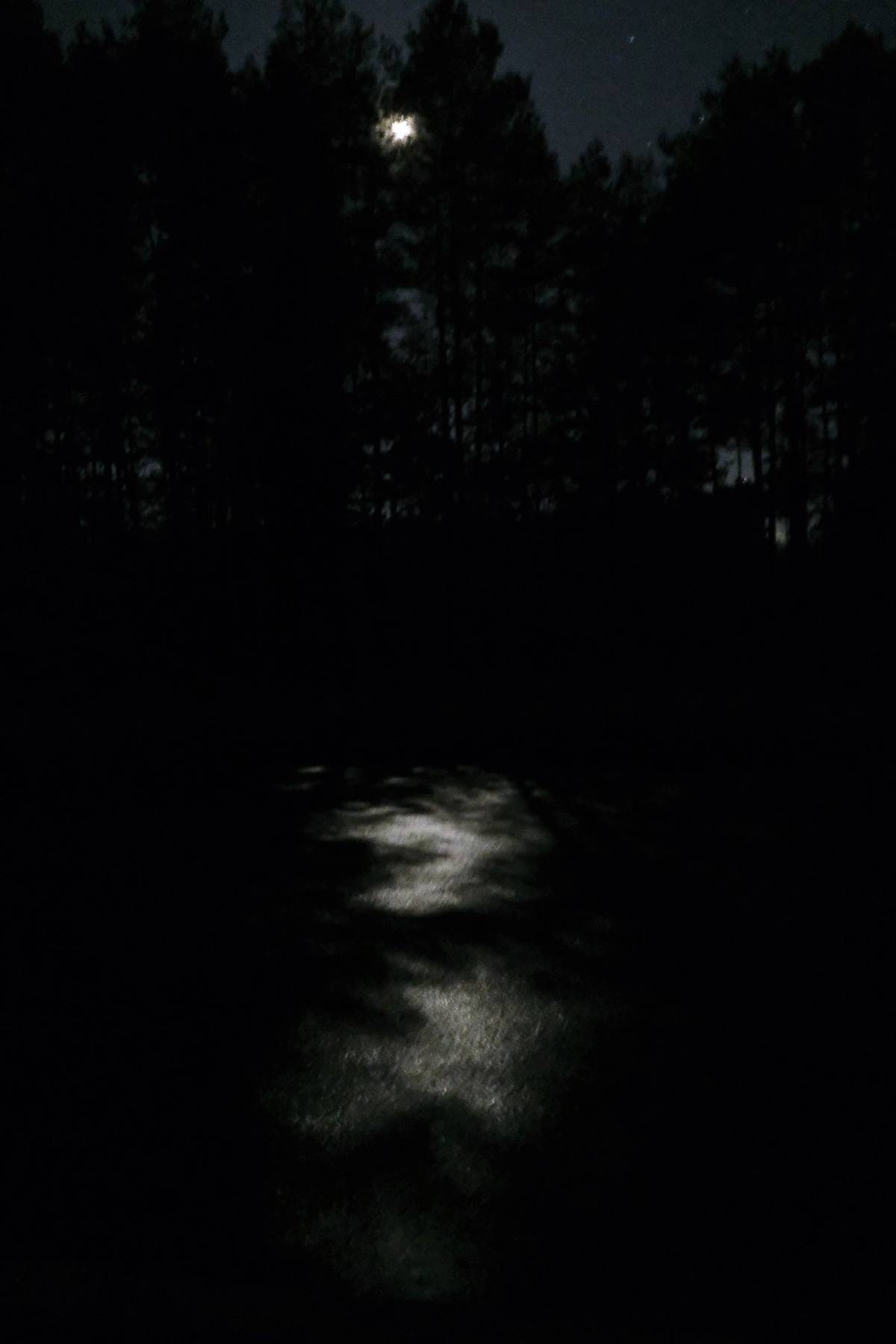 Venku se navíc na hladině rybníka odráží světlo ze srpku měsíce.