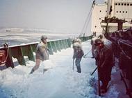 Golden Ocean, Rich Honor, Jan Želivský. To jsou jména, která nesla úplně poslední loď, kterou Československá národní plavba odkoupila. Byla vyřazena ve stejném roce, kdy byla uvedena do provozu - 1998. Podnik fakticky zanikl poté, co jej odkoupily firmy spojené s podnikatelem a finančníkem Viktorem Koženým a lodě rozprodaly. Čeští námořníci dnes působí u zahraničních firem, původní podnik existuje dál pod svým názvem, místo námořní plavby se ale věnuje například správě nemovitostí.