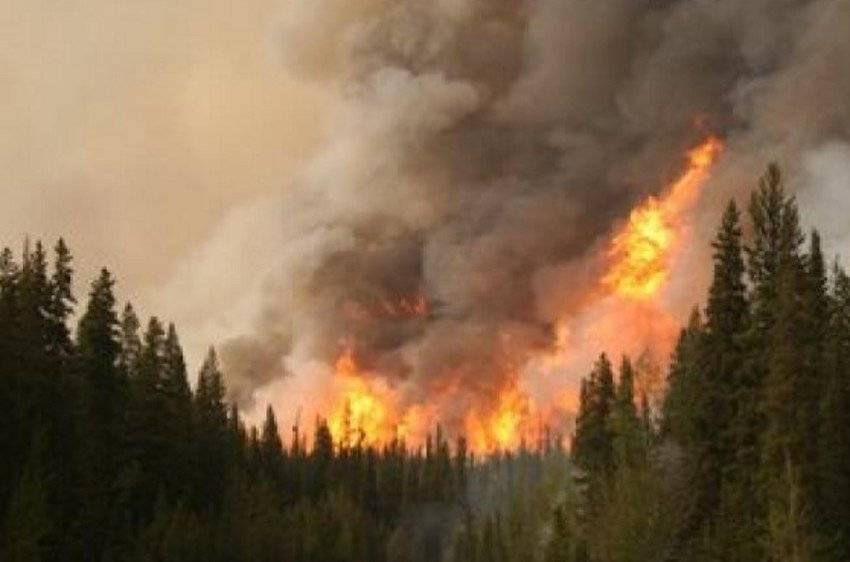 V prílohe Vám zasielam vyhlásenie času zvýšeného nebezpečenstva vzniku požiaru v okresoch Martin a Turčianske Teplice s platnosťou od 3.9.2024 od 08:00 hod.