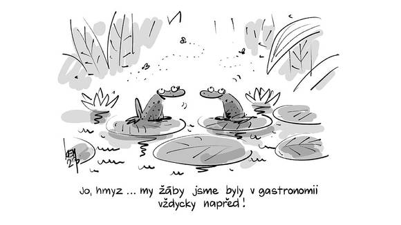 Jo, hmyz… my žáby jsme byly v gastronomii vždycky napřed!