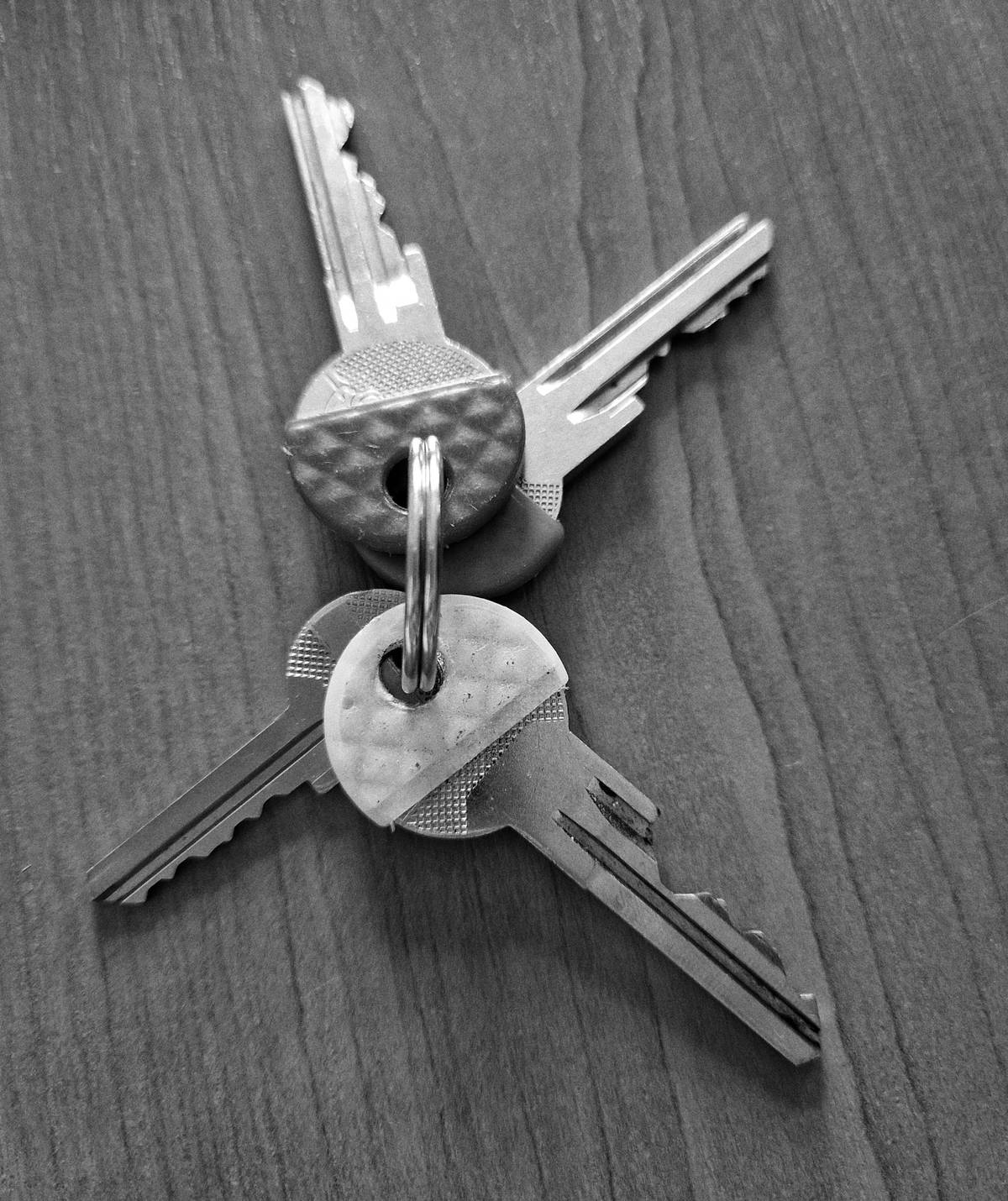 ‼️ ZTRÁTY A NÁLEZY ‼️
V odpadkovém koši na Náměstí byly nalezeny klíče. Majitel bude jistě vědět, jakou barvu mají rozlišovače. Klíče jsou k vyzvednutí na podatelně městského úřadu.