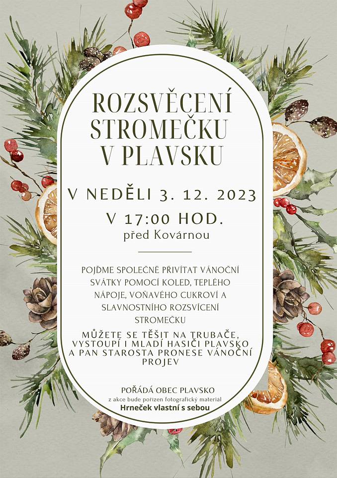 Zveme občany a přátele obce Plavsko na slavnostní rozsvěcení vánočního stromku.