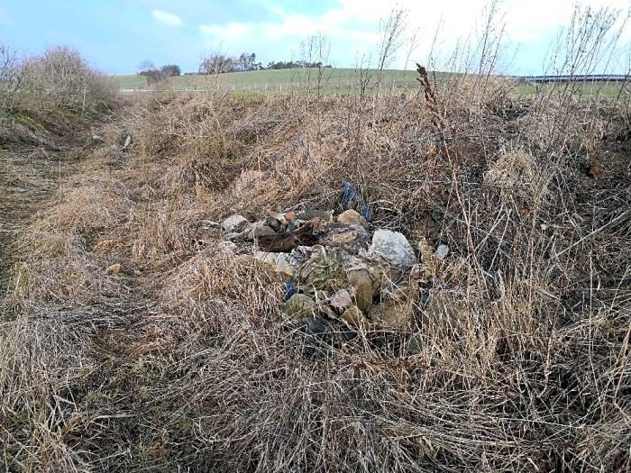 Děkujeme za Váš podnět, příležitostně černou skládku uklidíme.