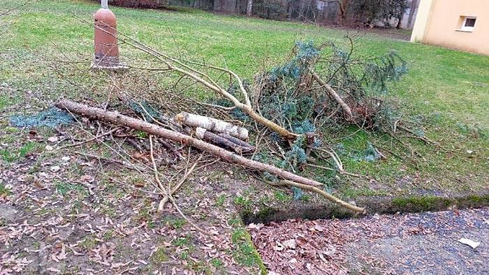 Větve, uklizeny.