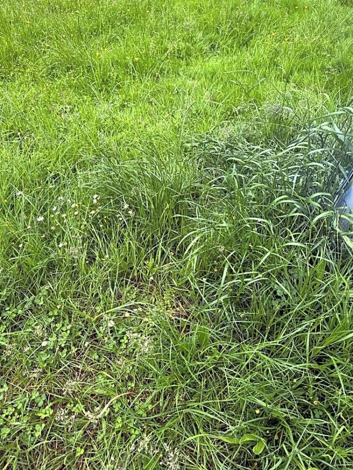 Dobrý den, v sekání  postupujeme podle určeného harmonogramu sečí, mnoho častých srážek nás nyní trochu zbrzdilo, ale jakmile počasí dovolí pokračujeme dál. Děkujeme za trpělivost a pochopení.