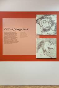 Snímek z výstavy Goya fyziognomik.