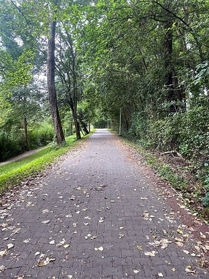 Dobrý den. Ačkoliv tato komunikace, kterou zmiňujete se nachází v katastru obce Staré Město, tak není v majetku naší obce a to i včetně všech přilehlých pozemků. Pokusíme se jednat s majiteli těchto pozemků, zda nám umožní na jejich pozemky lavičky, případně odpadkové koše umístit, nebo je požádat aby tak učinil vlastník a správce dotčených pozemků.