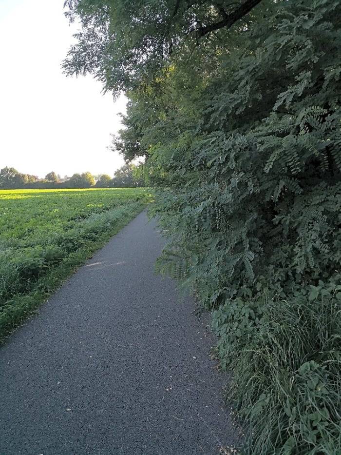 Cyklostezka není ve správě Technických služeb, Váš podnět předáme odpovědné osobě.