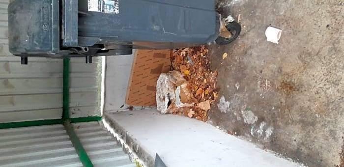 Dobrý den, drobný nepořádek byl odstraněn.
Děkujeme za podnět. S pozdravem Marešová