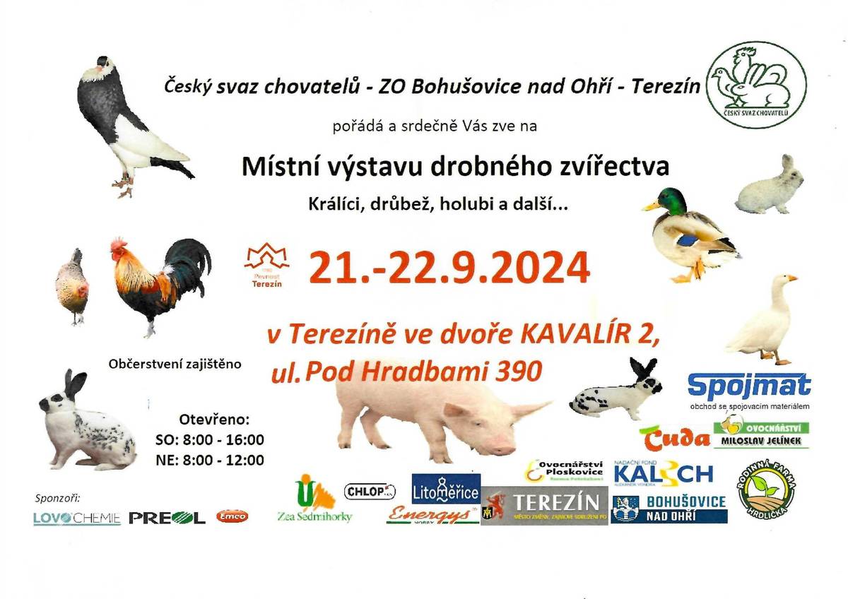 Český svaz chovatelů pořádá výstavu drobného zvířectva dne 21.-22.9. v Terezíně ve dvoře KAVALÍR 2, Pod Hradbami 390.