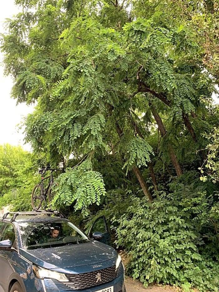 SŽDC provedlo ořez