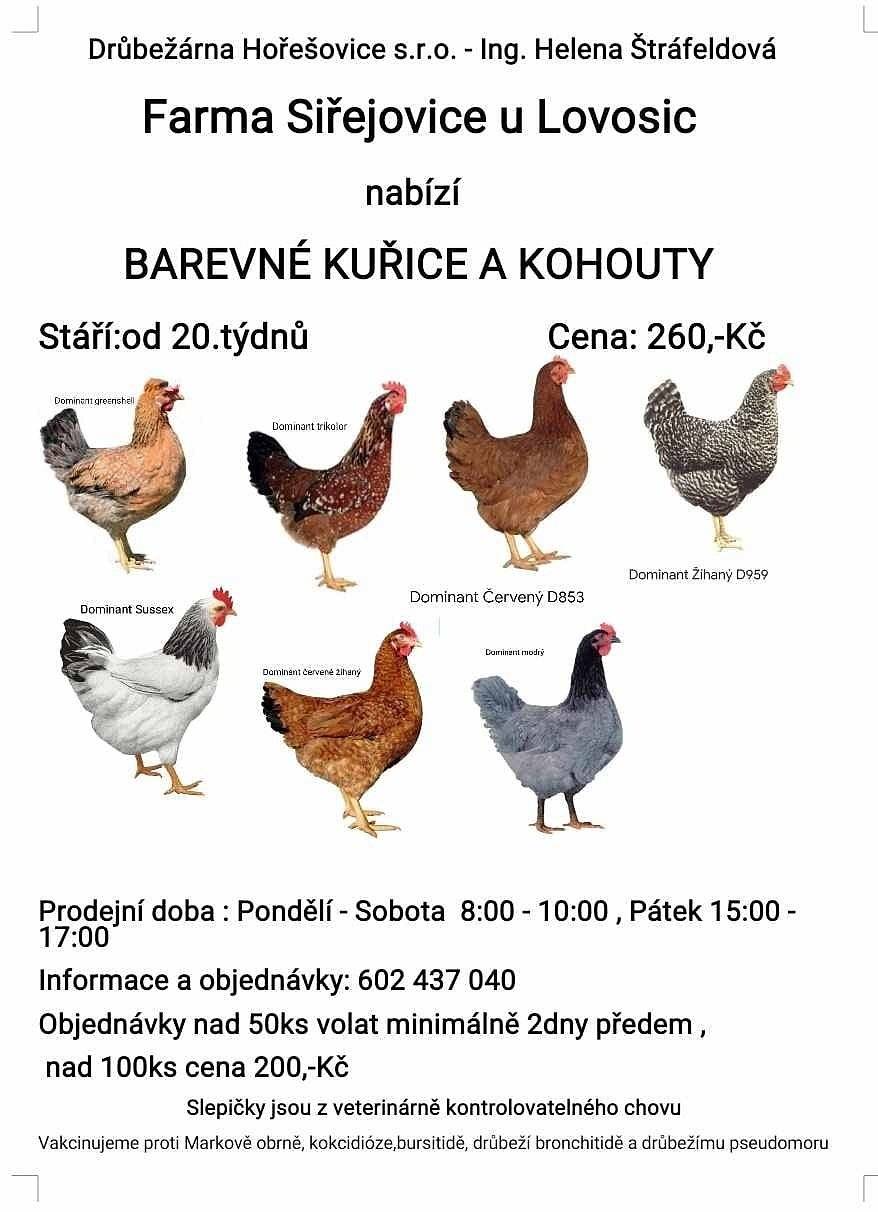 Farma Siřejovice u Lovosic nabízí barevné kuřice a kohouty. Více informací v přiloženém letáčku nebo na tel. 602 437 040.