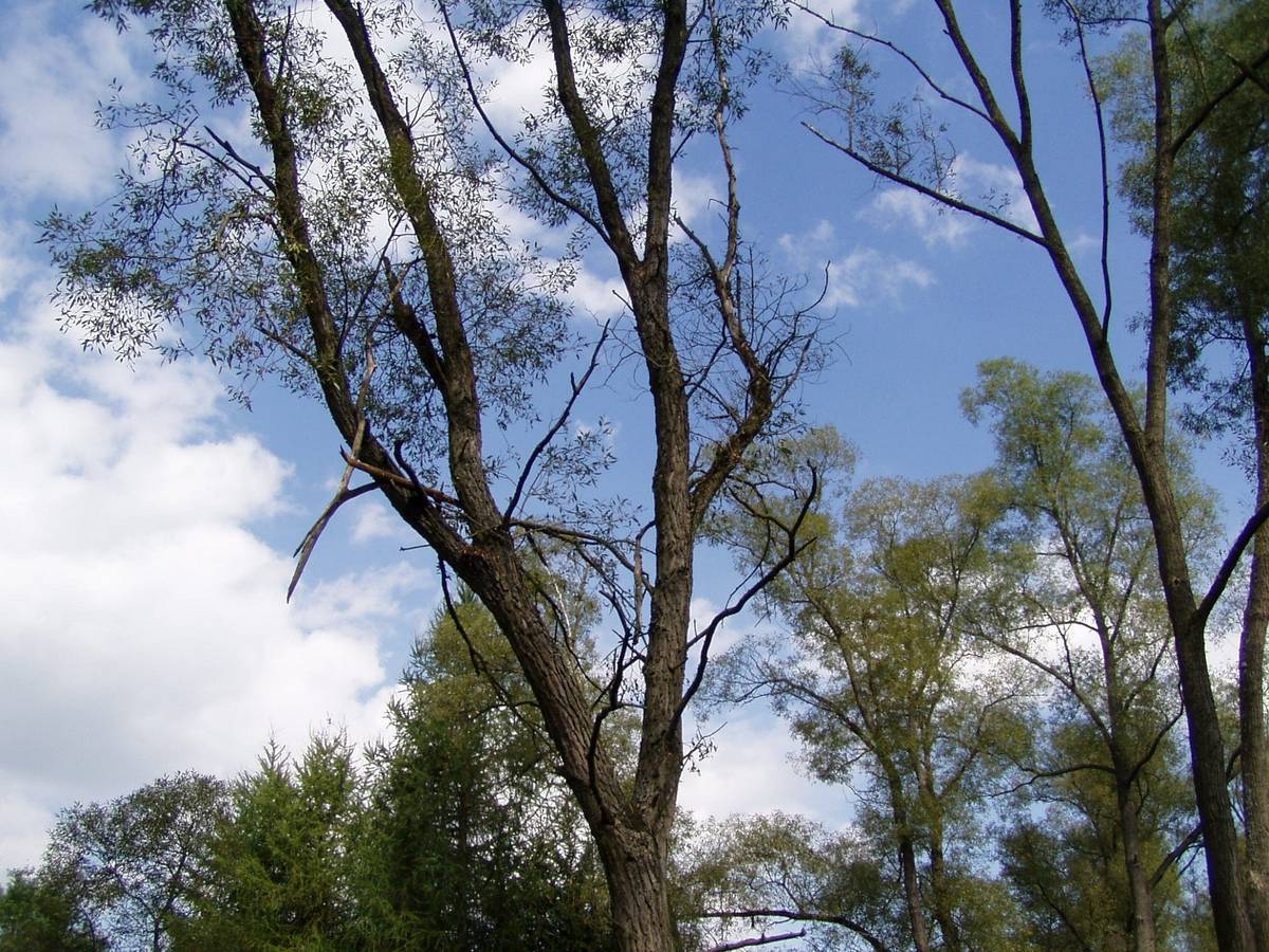 Tato testovací zpráva