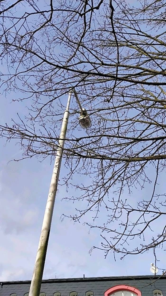 Dobrý den, nezapomnělo, dřeviny se pokáceli z pěstebních důvodů a také s ohledem na plánovanou rozšiřování chodníku/cyklostezky. Část dřevin bude nahrazena