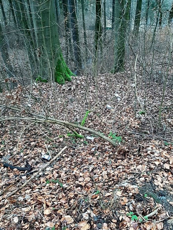 Nepořádek byl odstraněn. Pěkný den.