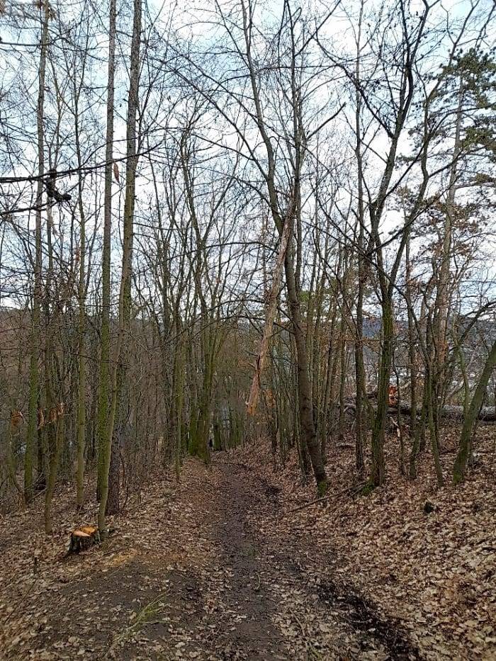 Děkujeme za upozornění. Pokud je pozemek v majetku města, dojde k úpravám postupně v rámci jarních prací na veřejné zeleni. Pokud to pozemek soukromí, pak by úpravu měl zajistit majitel.