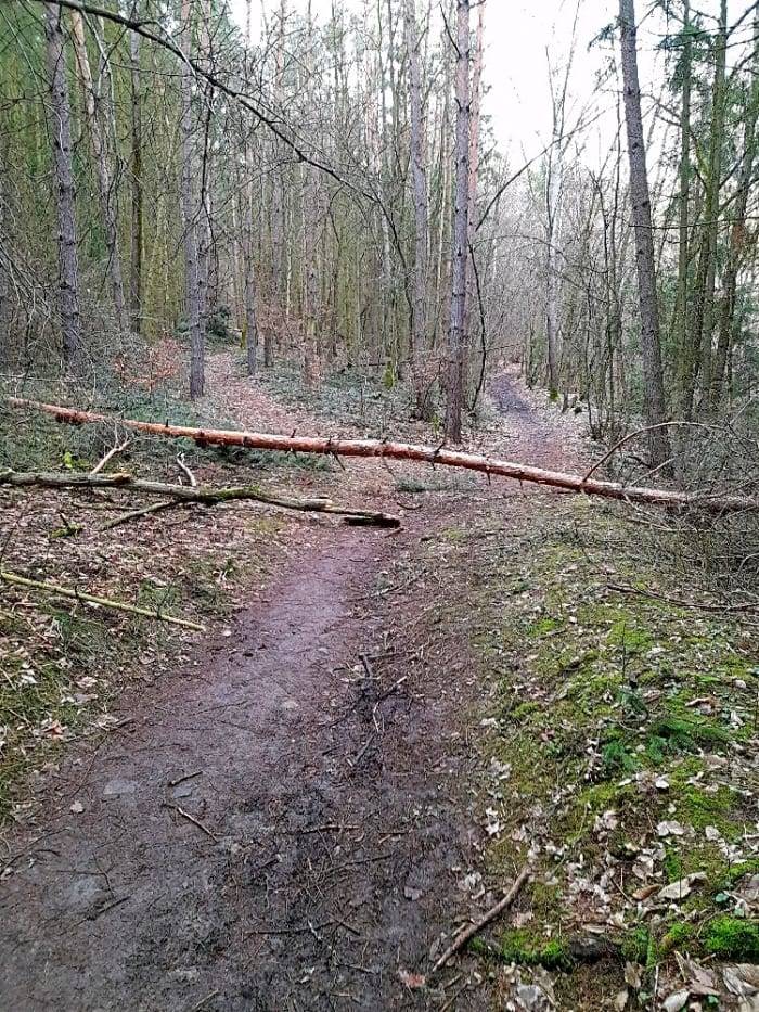 Děkujeme za upozornění. Pokud je pozemek v majetku města, dojde k úpravám postupně v rámci jarních prací na veřejné zeleni. Pokud to je pozemek soukromníka, pak by úpravu měl zajistit majitel.