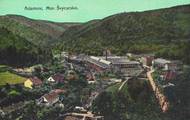 Počátkem 20. století však dominantou obce byla jediná továrna, jak je vidět na pohlednici přibližně z roku 1916.