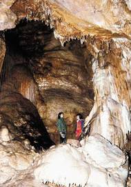 Koněprusy jsou patrně nejstarším jeskynním komplexem v Čechách. Specialitou jeskyní je kromě koněpruských růžic, které tvoří unikátní prokřemeněné krápníky, též řada cenných archeologických nálezů. Na archivním snímku je Proškův dóm.