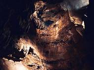 Jeskyně Balcarka leží v severní části Moravského krasu, v malebném úseku Suchého žlebu u Ostrova u Macochy.