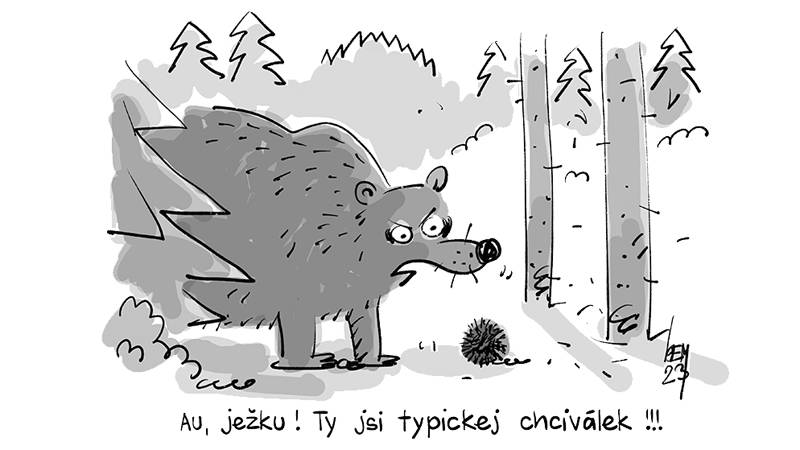 Au, ježku! Ty jsi typickej chciválek!!!