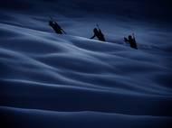 Vítěz v kategorii Covid-19: Roman Vondrouš (ČTK) - Věrní fanoušci. (Ukázka ze série snímků).