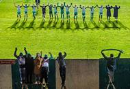Vítěz v kategorii Covid-19: Roman Vondrouš (ČTK) - Věrní fanoušci. (Ukázka ze série snímků).