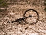 Vítěz v kategorii Covid-19: Roman Vondrouš (ČTK) - Věrní fanoušci. (Ukázka ze série snímků).