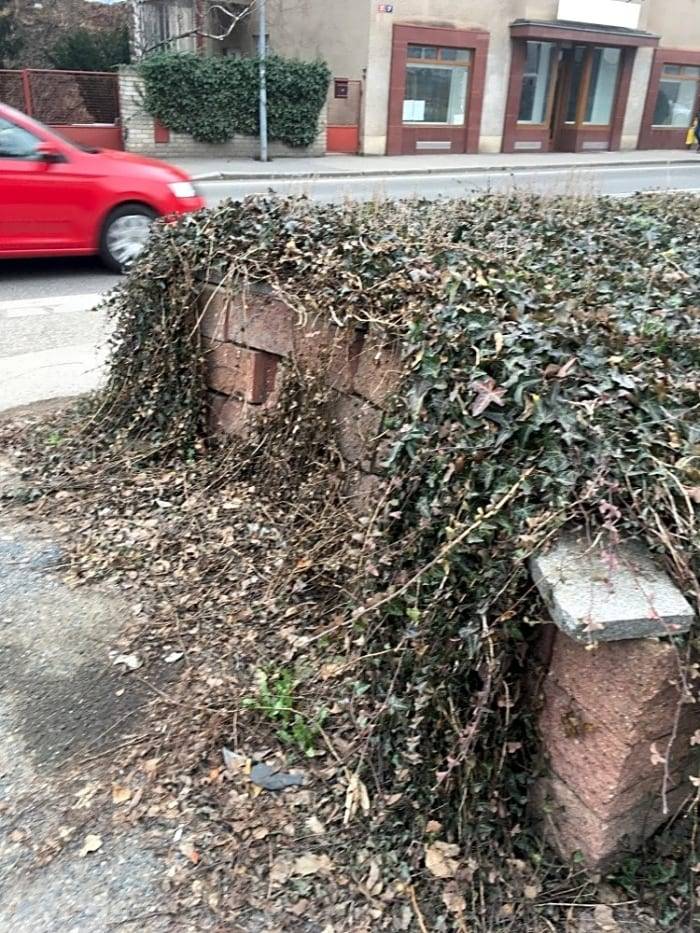 Děkujeme za upozornění. Přerostlá zeleň a další se postupně upravuje v rámci jarních pracích.