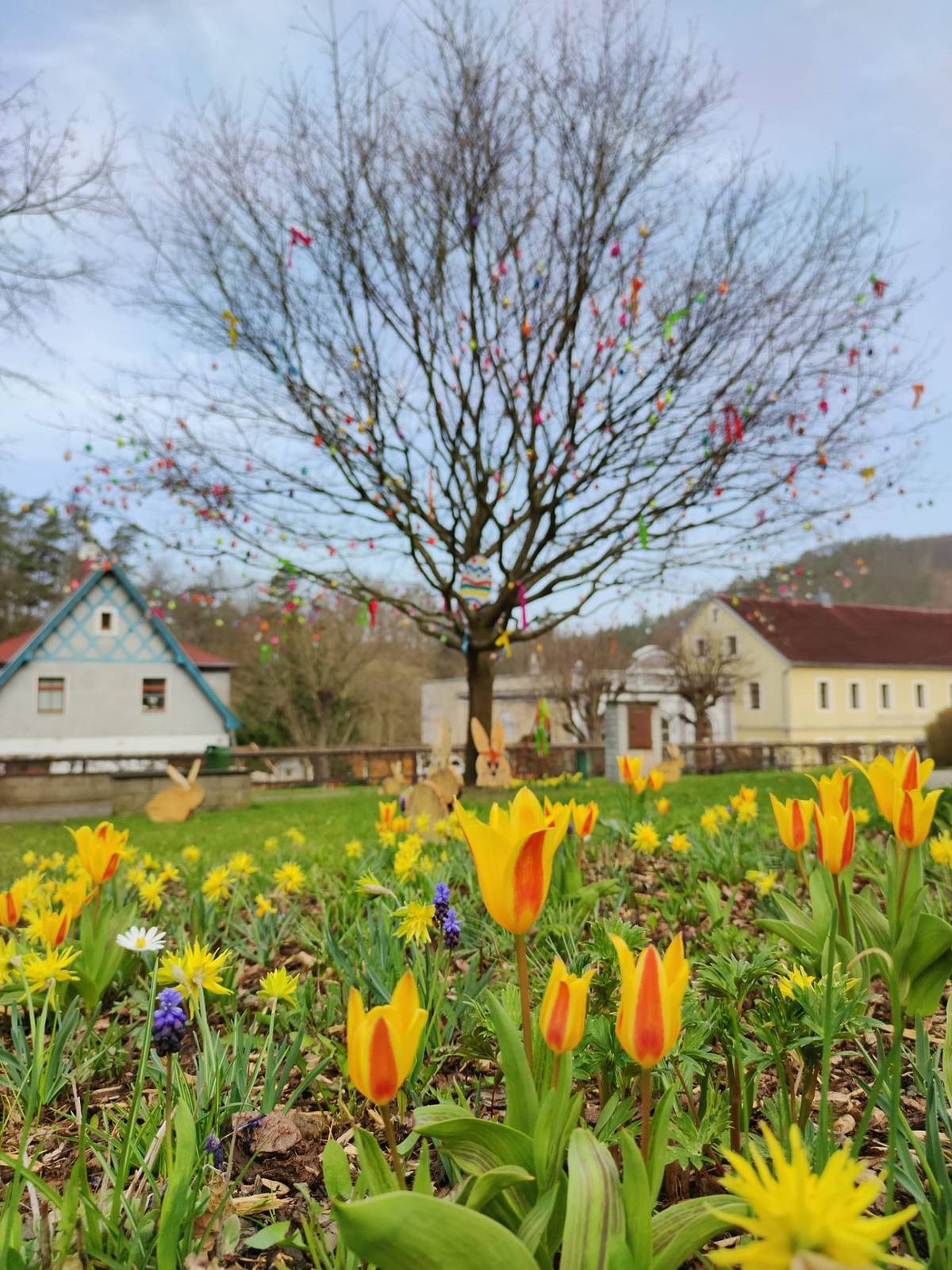 Vážení občané,
 


přejeme Vám veselé Velikonoce, dětem bohatou pomlázku a všem spoustu krásných jarních dní, plných slunce a dobré nálady, obec Šemnice.