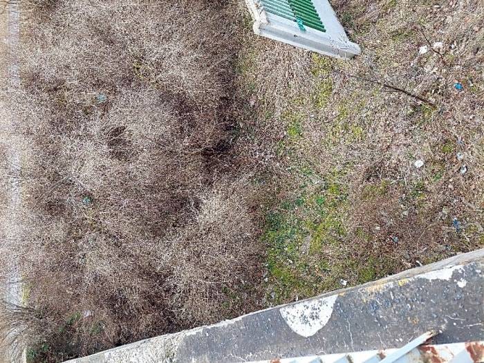 Dobrý den, nepořádek se nachází v kolejišti drah , prosím o  informování  ČD.