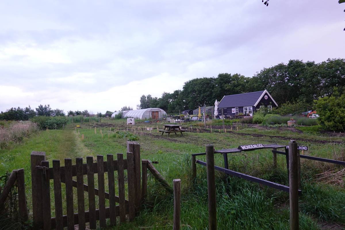 Čerstvé ovoce a zeleninu si můžete nakoupit v komunitní zahradě.